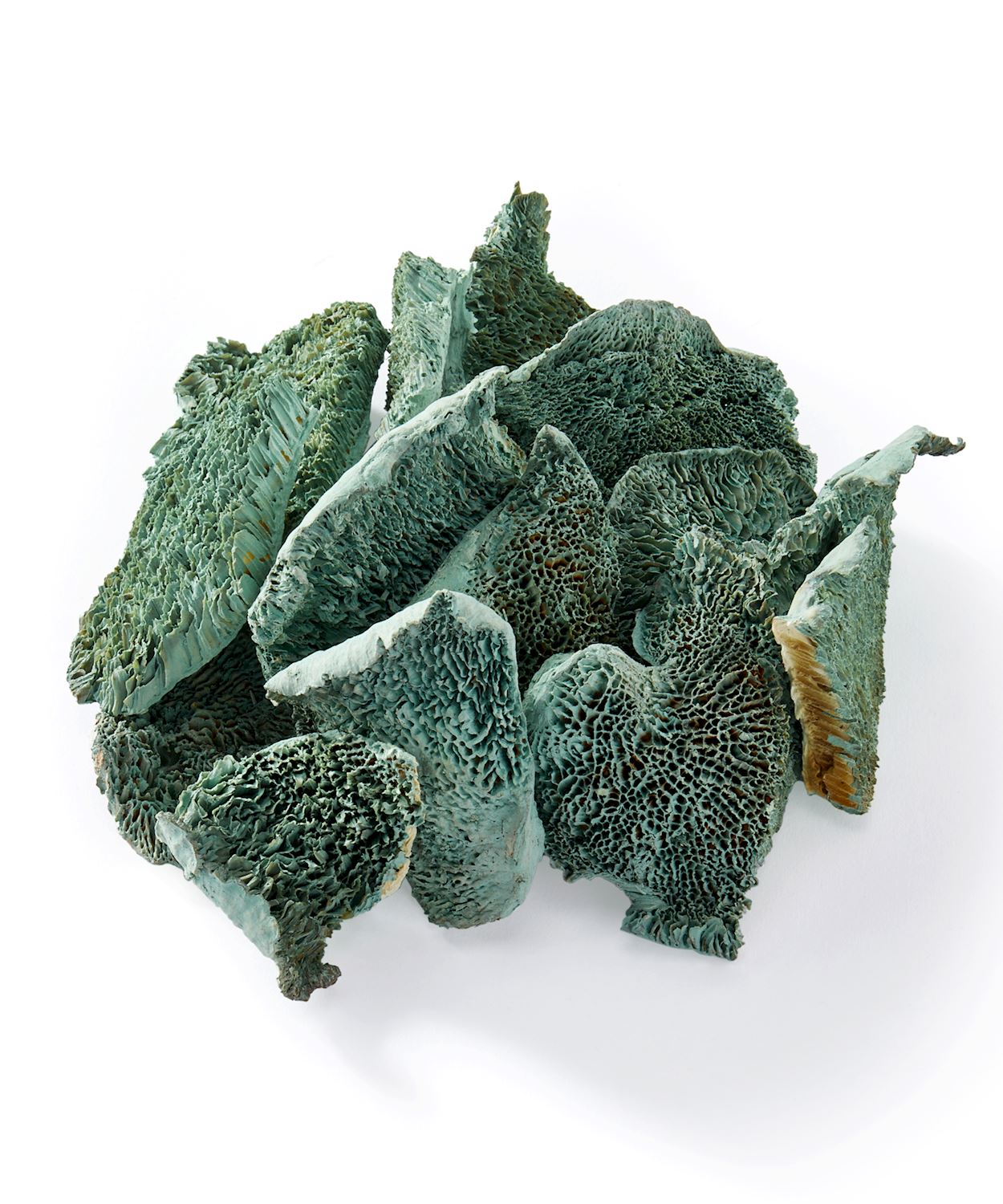 Teal Sponge Mushroom Botanical Vase and Bowl Fillers