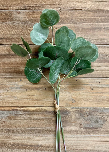 Fresh Touch Silver Dollar Eucalyptus Stems 17"