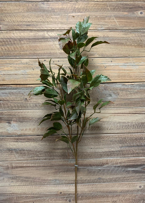 Green Ficus Spray 35"