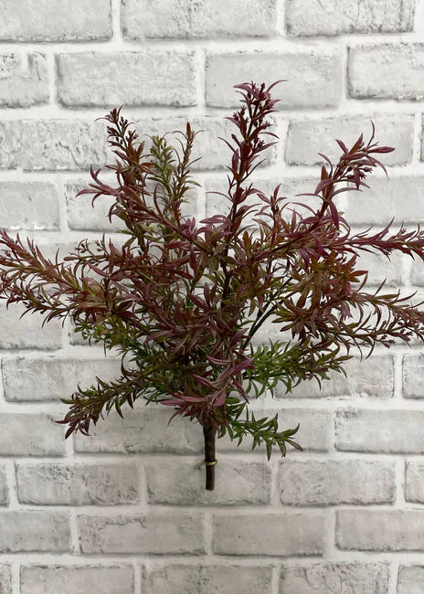 Burgundy Green Sage Bush 18"