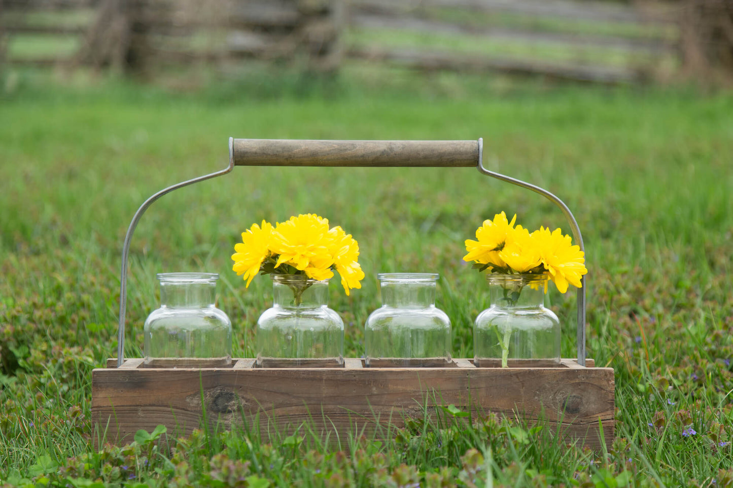 Handle Crate with 4 Glass Bottles