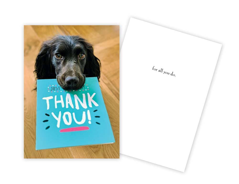 Greeting Card - Thank you