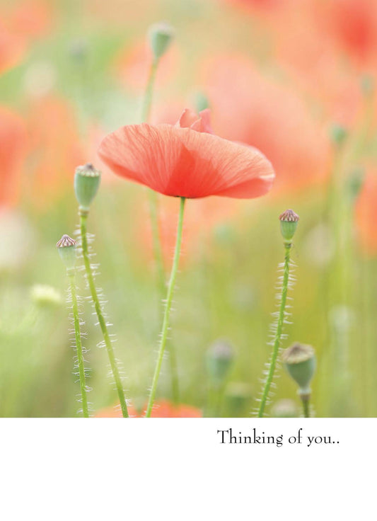 Greeting Card - Thinking Of You