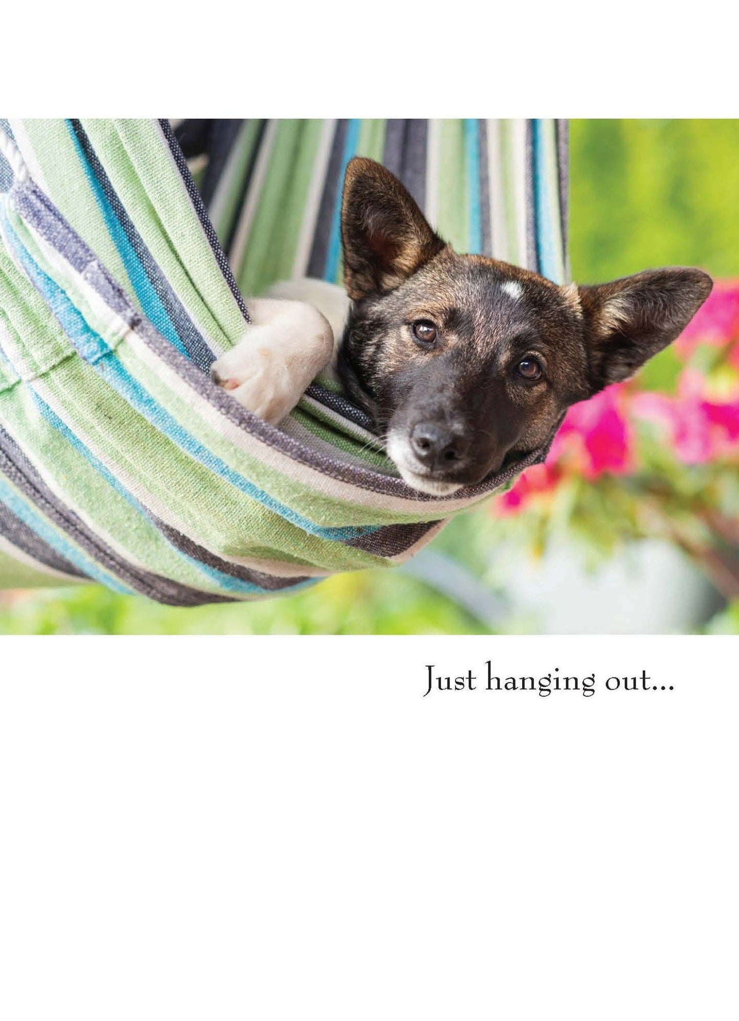 Greeting Card - Just Hanging Out