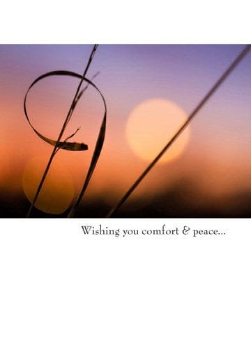 Sympathy Card - Wishing You Comfort & Peace