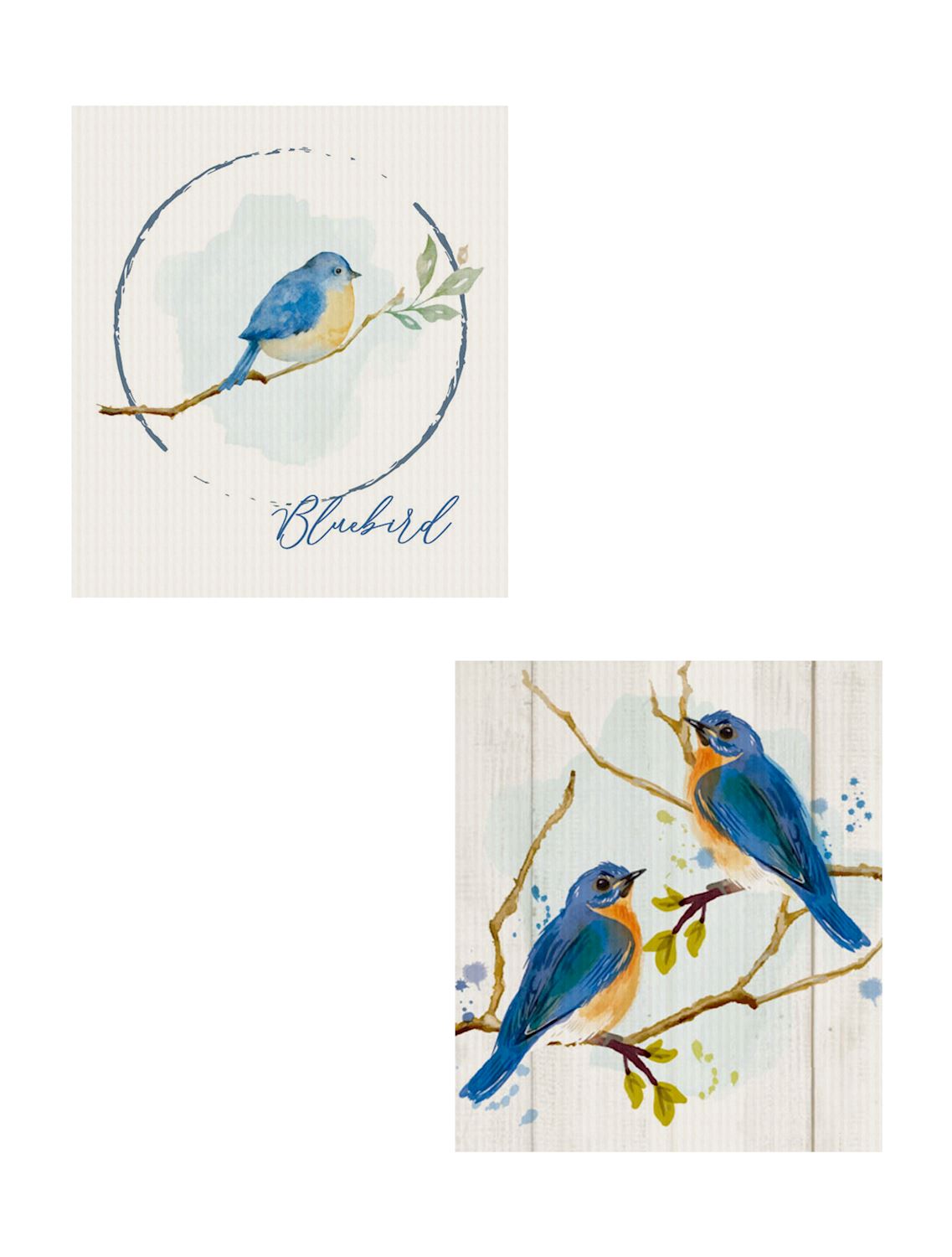 Blue Bird Reusable Dish Cloth s/2