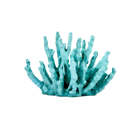 Turquoise Coloured Coral