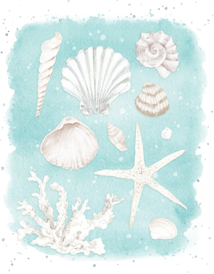 Small Card- Beach Treasures