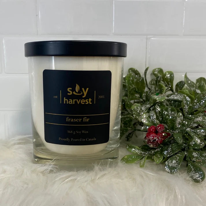 Fraser Fir Soy Candle