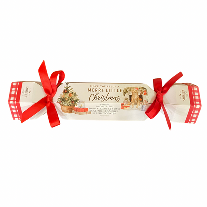 Bath Fizzers Holiday Gift Set