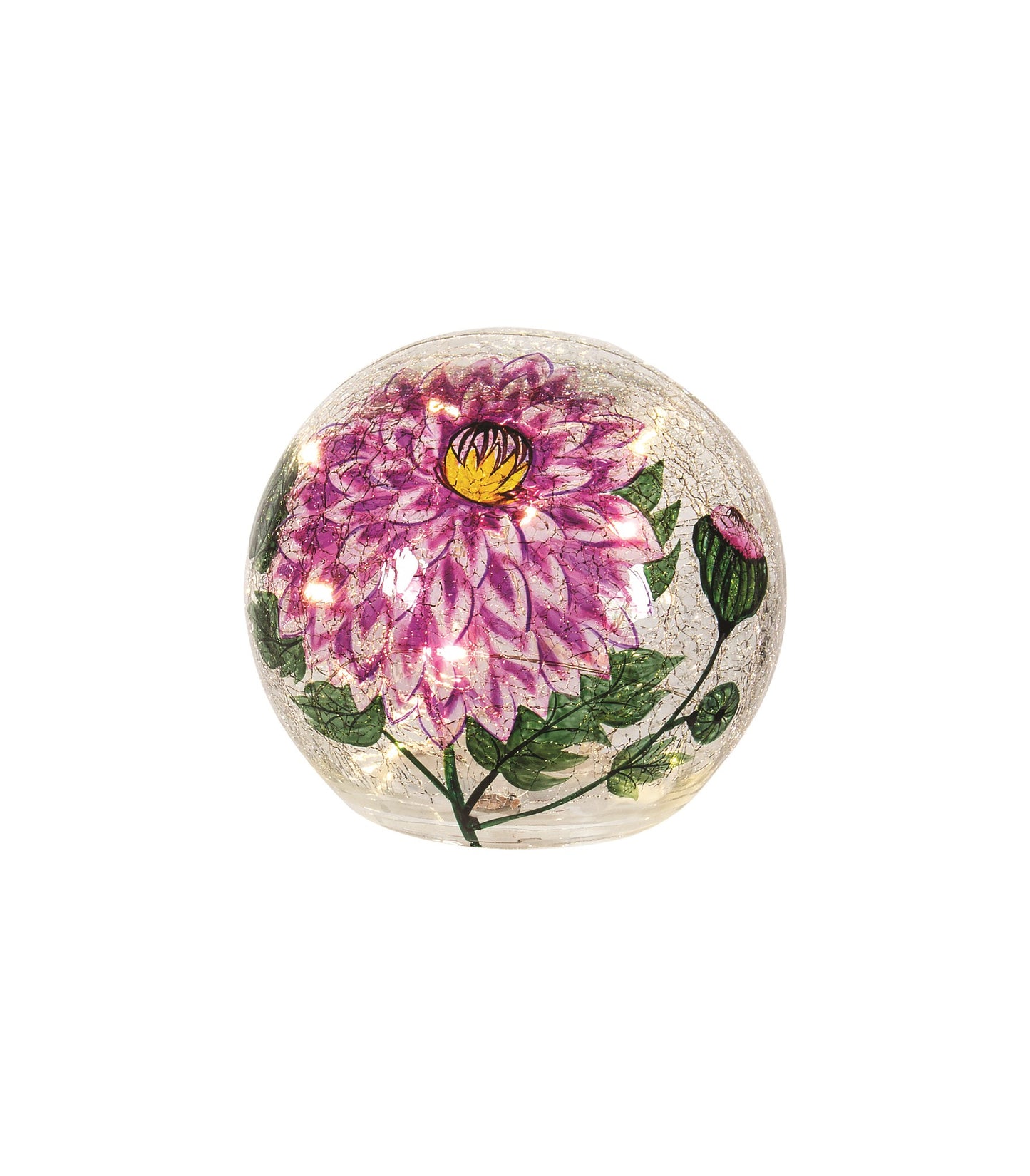 Purple Chrysanthimum Globe