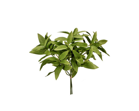 Sage Bundle (3 Sprigs) 12"