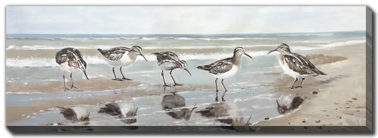 Shorebirds Print *Pick Up Only