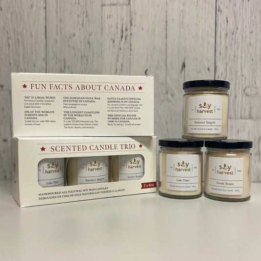 Scented Trio Pack Soy Candles