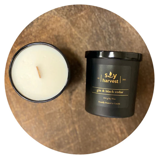 Gin & Black Cedar Soy Candle - Midnight Collection