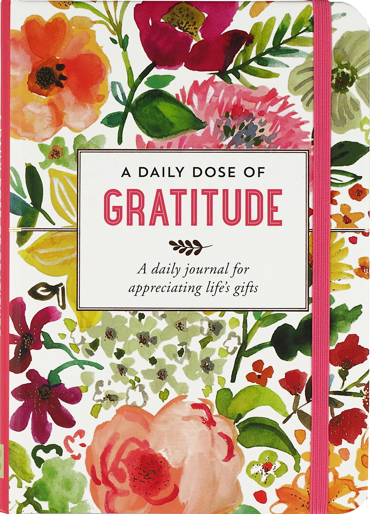 Daily Dose of Gratitude Journal