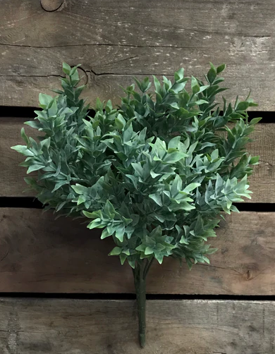 Tea Leaf Bush 12"