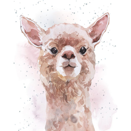 Small Card-No Prob Llama